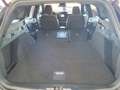 Ford Focus EcoBoost mHEV Autom. ST-Line X Matrix/18" Grau - thumbnail 21