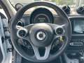 smart forFour SMART FORFOUR 17,6kW PASSION Weiß - thumbnail 12