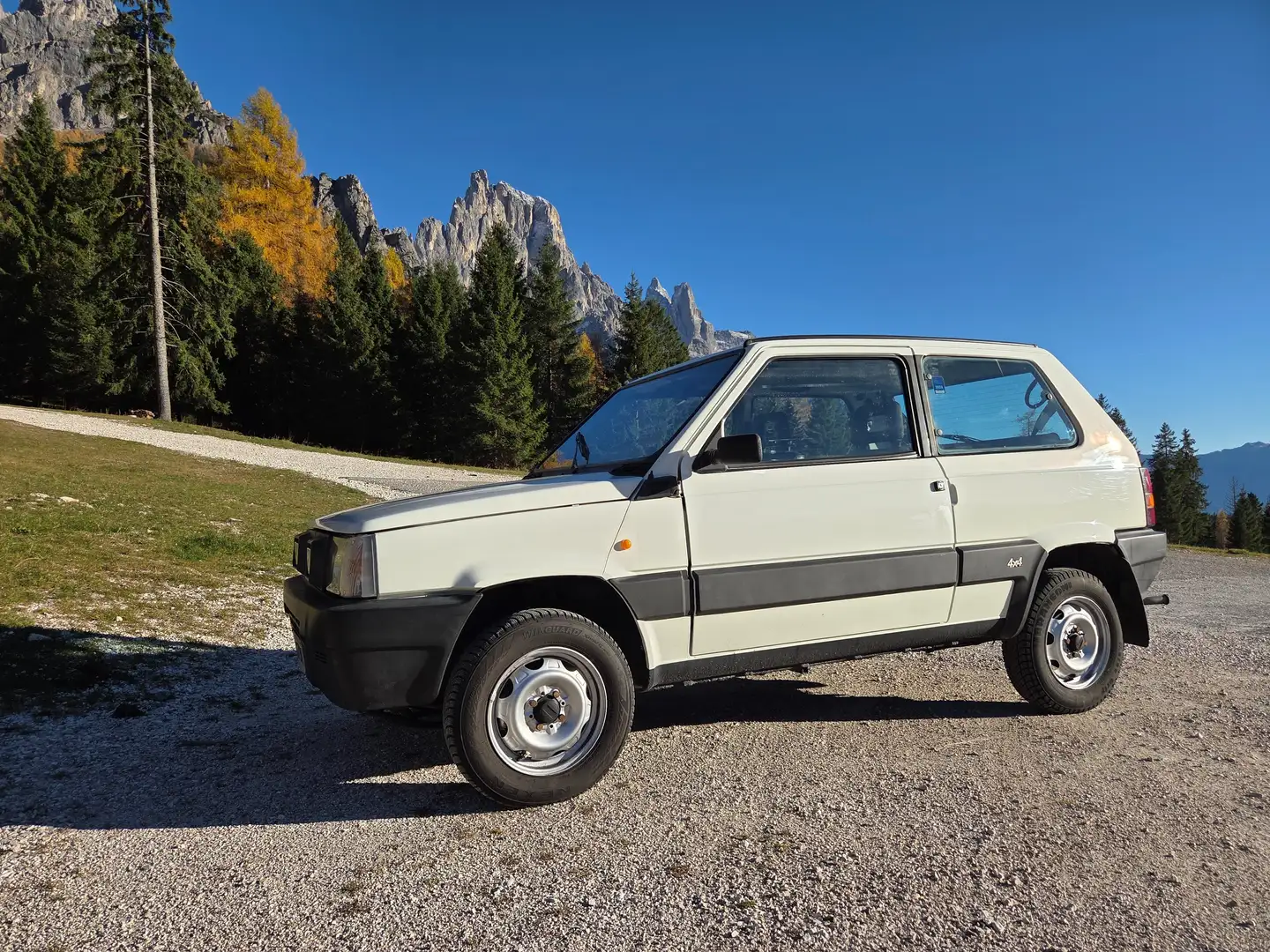 Fiat Panda Panda 1.0 4x4 Steyer Puch Bianco - 1