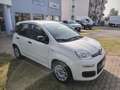Fiat Panda 1.0 FireFly S&S Hybrid Blanc - thumbnail 2