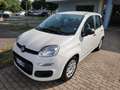 Fiat Panda 1.0 FireFly S&S Hybrid Blanc - thumbnail 1