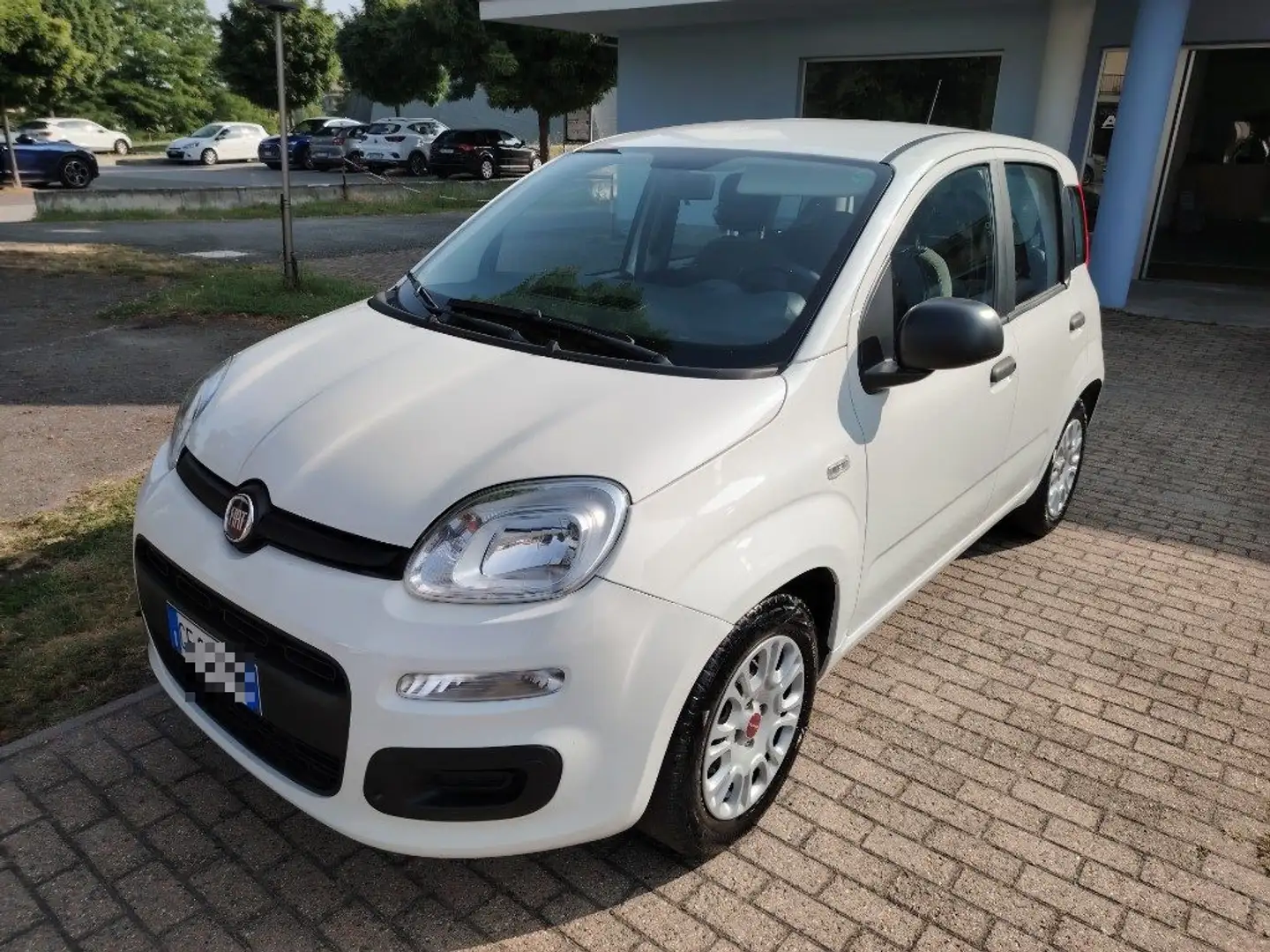 Fiat Panda 1.0 FireFly S&S Hybrid Blanc - 1
