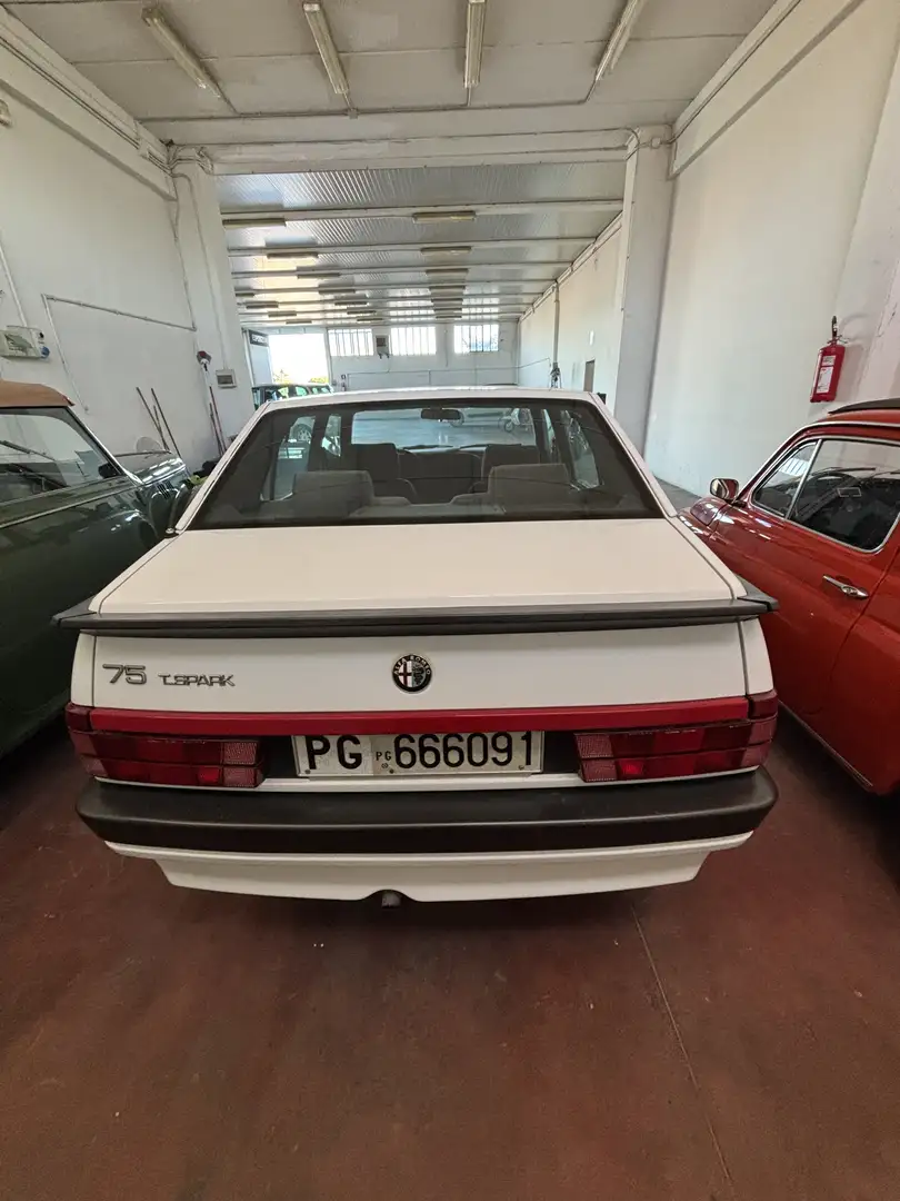 Alfa Romeo 75 2.0i ts - 2