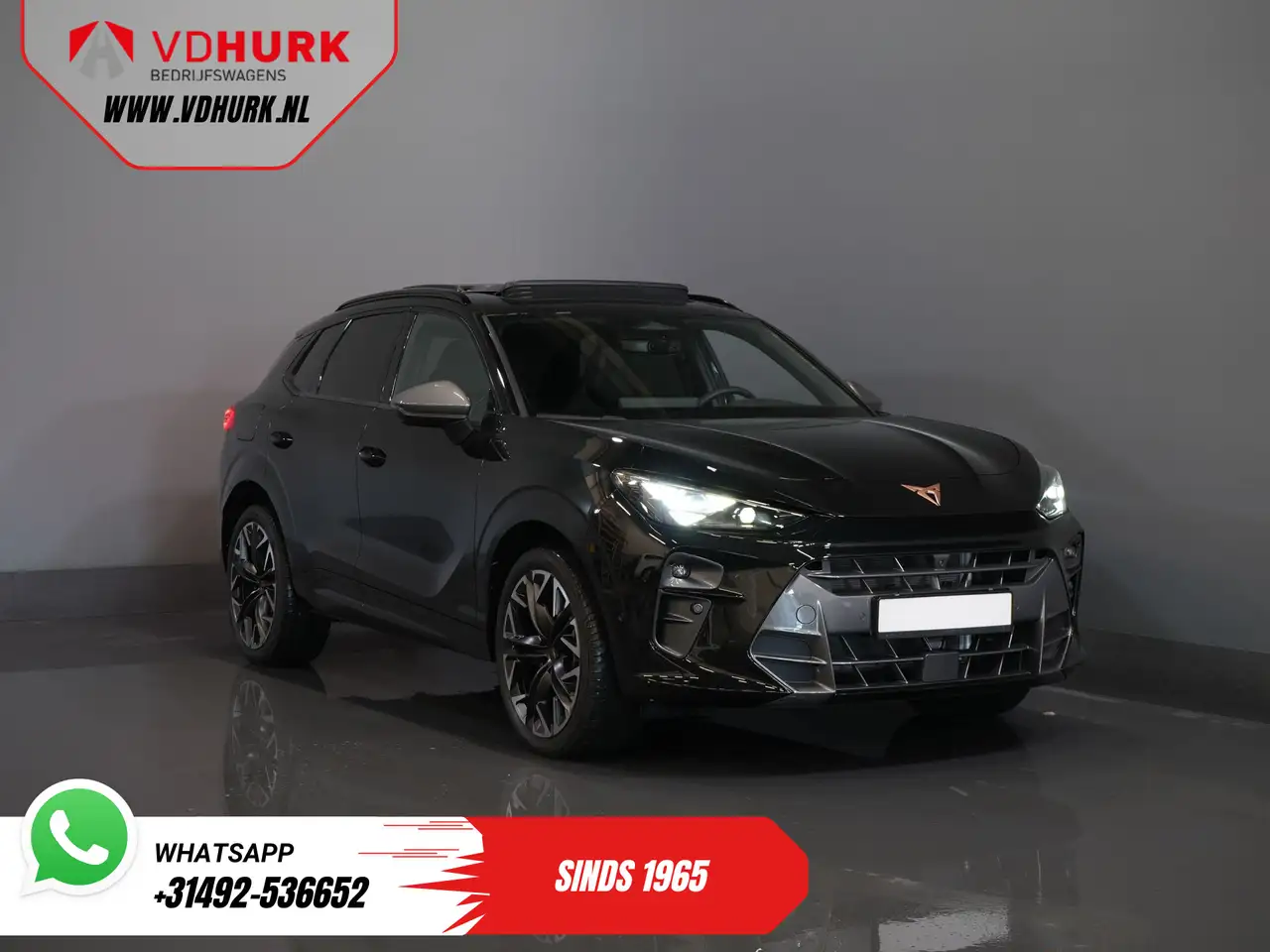 Cupra Terramar