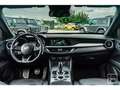 Alfa Romeo Stelvio 2.2 Diesel Veloce 210 Q4 AT8 Rot - thumbnail 3
