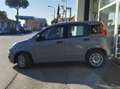 Fiat Panda Panda III 2022 1.0 firefly hybrid s Grigio - thumbnail 3