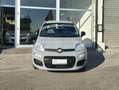 Fiat Panda Panda III 2022 1.0 firefly hybrid s Grigio - thumbnail 4