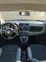Fiat Panda Panda III 2022 1.0 firefly hybrid s Grigio - thumbnail 8