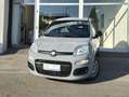 Fiat Panda Panda III 2022 1.0 firefly hybrid s Grigio - thumbnail 1