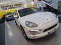 Porsche Cayenne Diesel Platinum Edition Aut. Blanco - thumbnail 6
