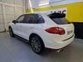 Porsche Cayenne Diesel Platinum Edition Aut. Blanco - thumbnail 3