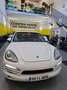 Porsche Cayenne Diesel Platinum Edition Aut. Blanco - thumbnail 7