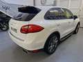 Porsche Cayenne Diesel Platinum Edition Aut. Blanco - thumbnail 4