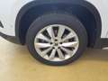 SEAT Ateca Xperience 1.5 TSI DSG AHK Navi ACC Easy Op Wit - thumbnail 12