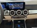 Mercedes-Benz Sonstige Progressive  360° 20LM 7Sitzer CarPlay Grau - thumbnail 14