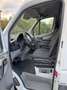 Mercedes-Benz Sprinter 311 CDI Kasten  | Standheizung | Regale/ Werkbank Weiß - thumbnail 5