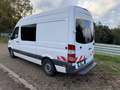 Mercedes-Benz Sprinter 311 CDI Kasten  | Standheizung | Regale/ Werkbank Weiß - thumbnail 1