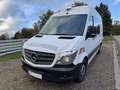 Mercedes-Benz Sprinter 311 CDI Kasten  | Standheizung | Regale/ Werkbank Weiß - thumbnail 3