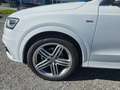 Audi Q3 2.0 TDI Quattro S-LINE Weiß - thumbnail 8