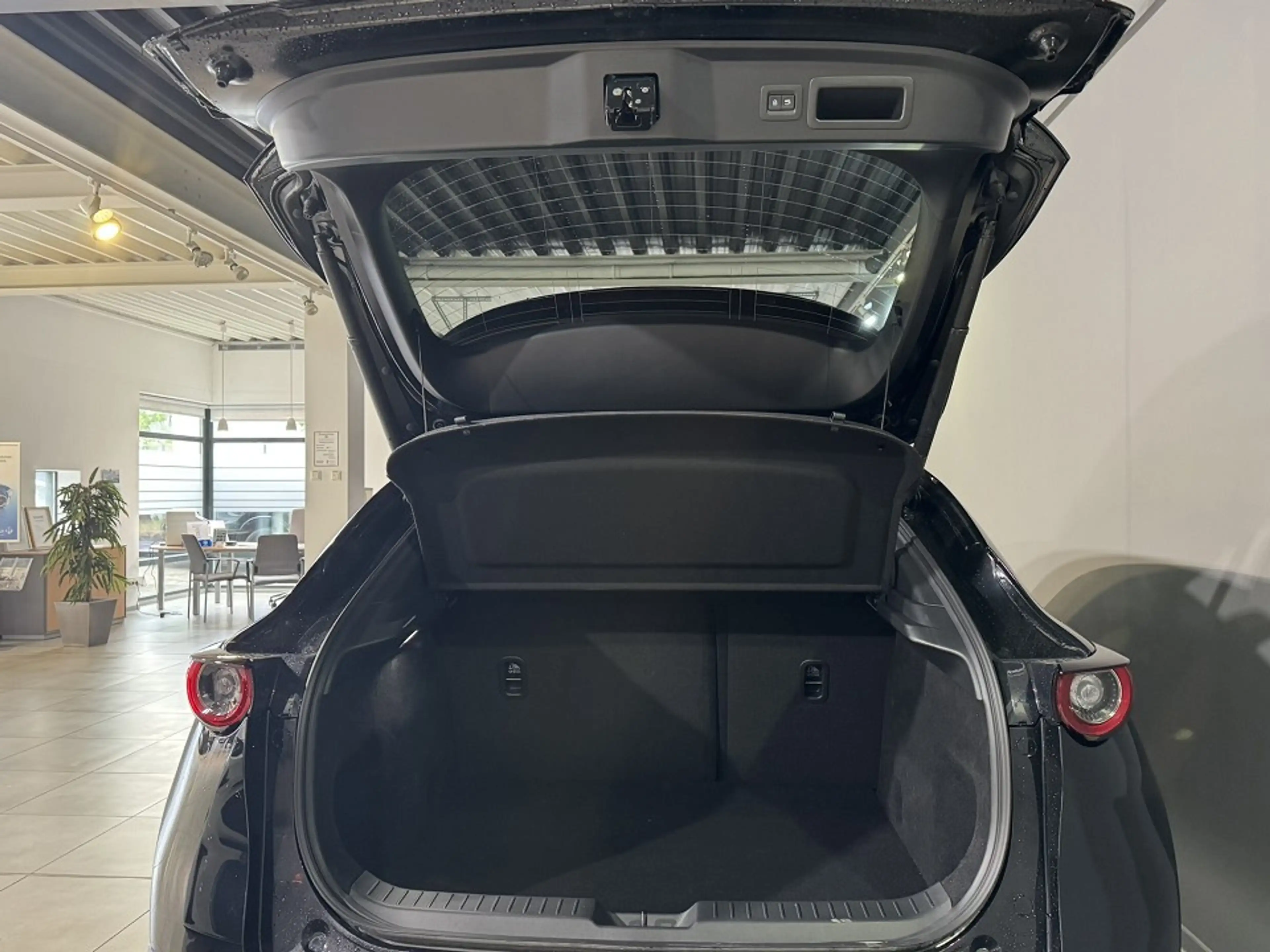 Mazda CX-30 5WGN 2.5L e-SKYACTIV G 140ps 6AT FWD Takumi — photo 5