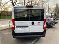 Fiat Ducato 30 2.2 Mjt 140CV AT9 PC-TN Panorama Bianco - thumbnail 4