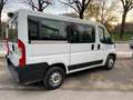 Fiat Ducato 30 2.2 Mjt 140CV AT9 PC-TN Panorama Bianco - thumbnail 3