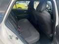 Toyota Corolla Hybrid Business Edition 2.0 TS Standheizung  Navi Weiß - thumbnail 21