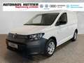 Volkswagen Caddy Cargo 1.5 TSI AHK SITZHEIZUNG PDC APPCONNECT Weiß - thumbnail 1