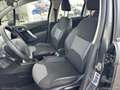 Citroen C3 1.1 neopatentati Gris - thumbnail 12