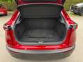 Mazda CX-30 Selection AWD/PREMIUM-DESIGN-P/360 KAM/LED Rot - thumbnail 13