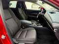 Mazda CX-30 Selection AWD/PREMIUM-DESIGN-P/360 KAM/LED Rot - thumbnail 16