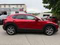 Mazda CX-30 Selection AWD/PREMIUM-DESIGN-P/360 KAM/LED Rot - thumbnail 6