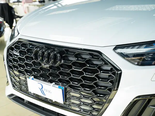 Audi Q5 view 14