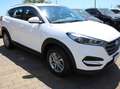 Hyundai TUCSON Tucson II  1.7 crdi Comfort 2wd 115cv Bianco - thumbnail 2