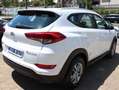 Hyundai TUCSON Tucson II  1.7 crdi Comfort 2wd 115cv Bianco - thumbnail 7