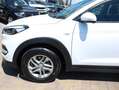Hyundai TUCSON Tucson II  1.7 crdi Comfort 2wd 115cv Bianco - thumbnail 4