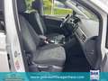 Volkswagen Touran 1.5 TSI, DSG - "Comfortline" +Winterräder Bianco - thumbnail 16