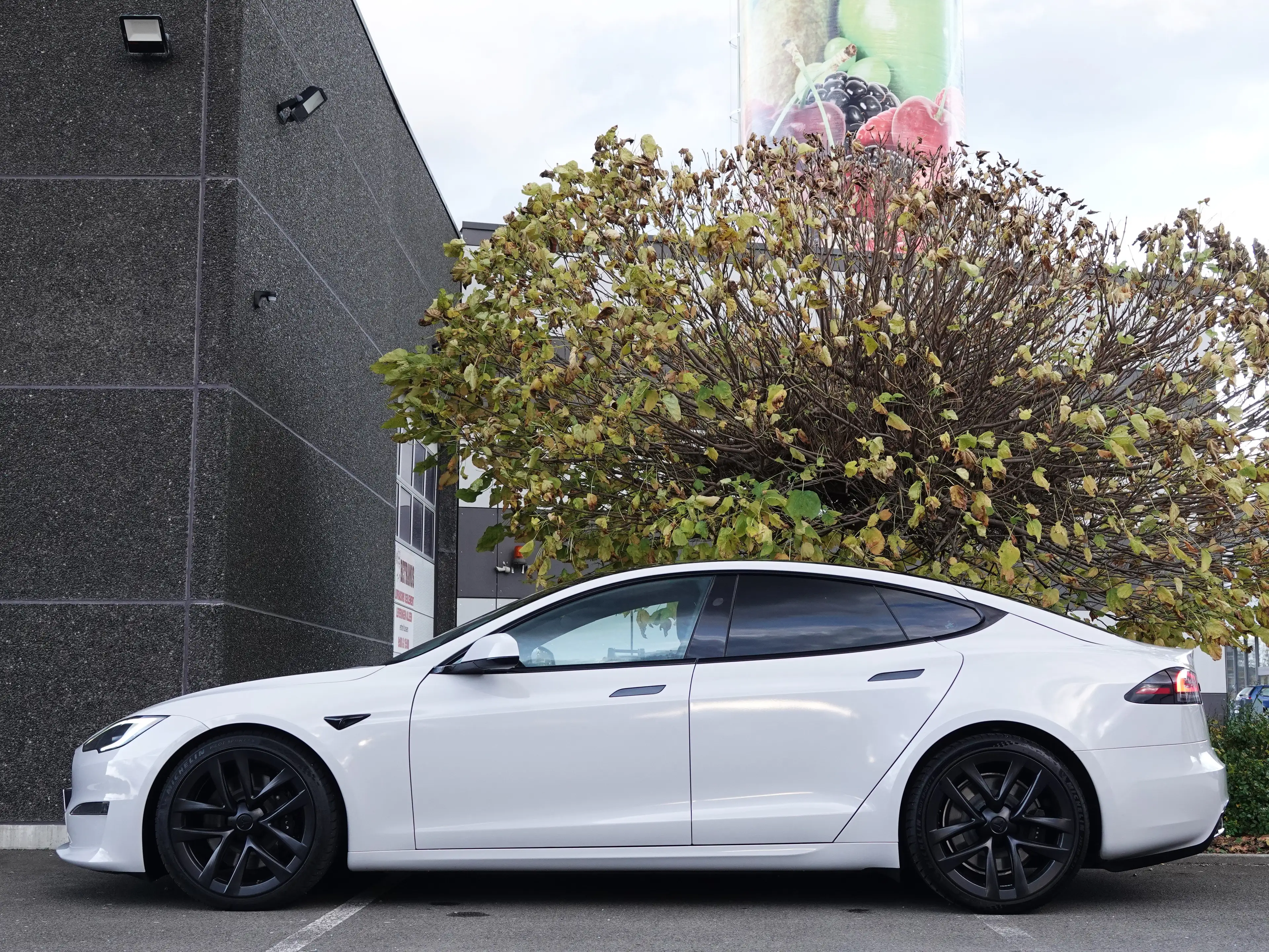 Tesla Model S Long Range Facelift WOKE / 21' / COVER ! — photo 10