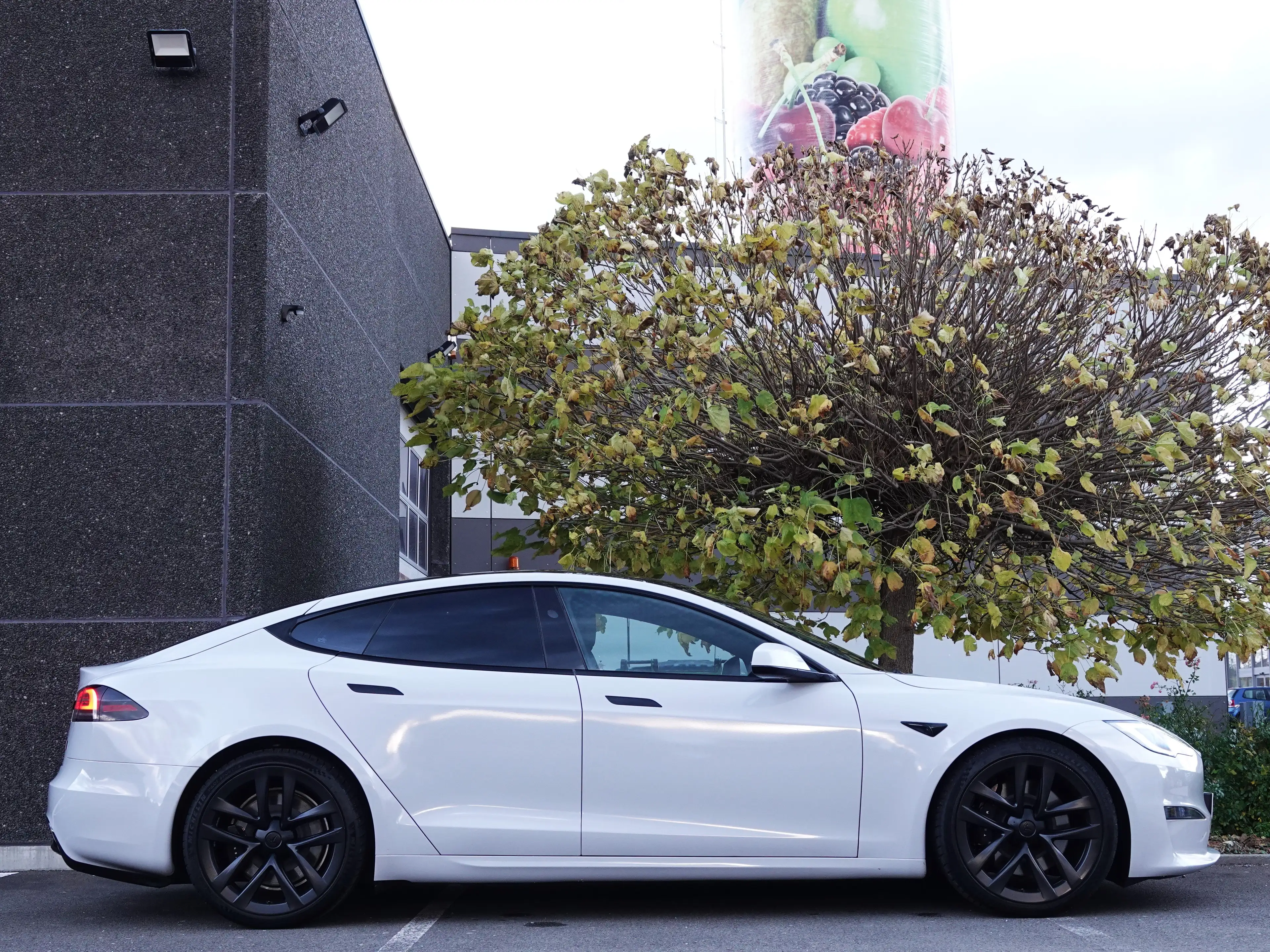 Tesla Model S Long Range Facelift WOKE / 21' / COVER ! — photo 13