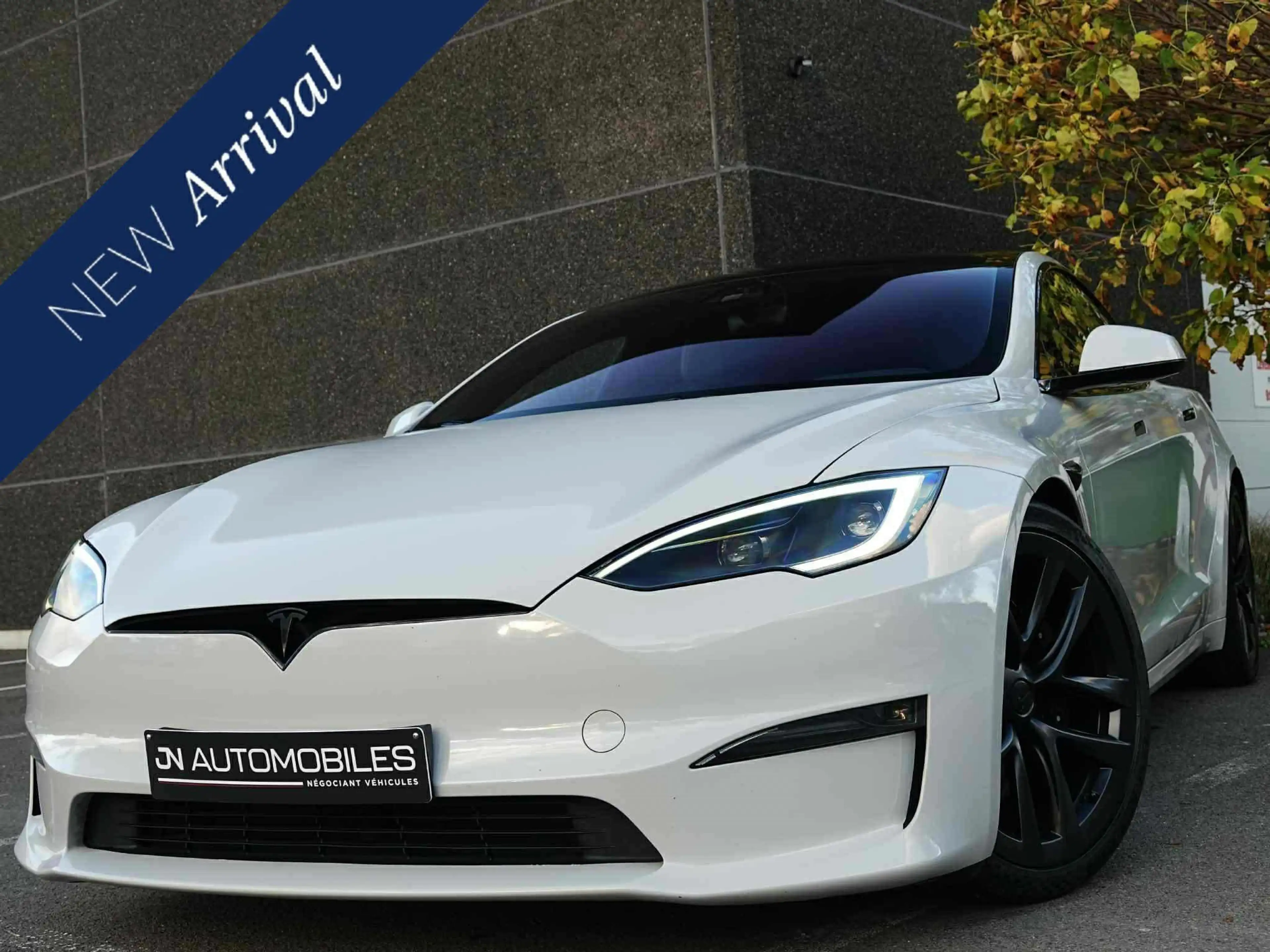 Tesla Model S Long Range Facelift WOKE / 21' / COVER !
