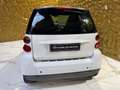 smart forTwo 1.0 mhd Pulse Auto Perfetta!!! - thumbnail 3