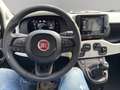 Fiat Panda Pandina 1.0 firefly hybrid s Vert - thumbnail 13