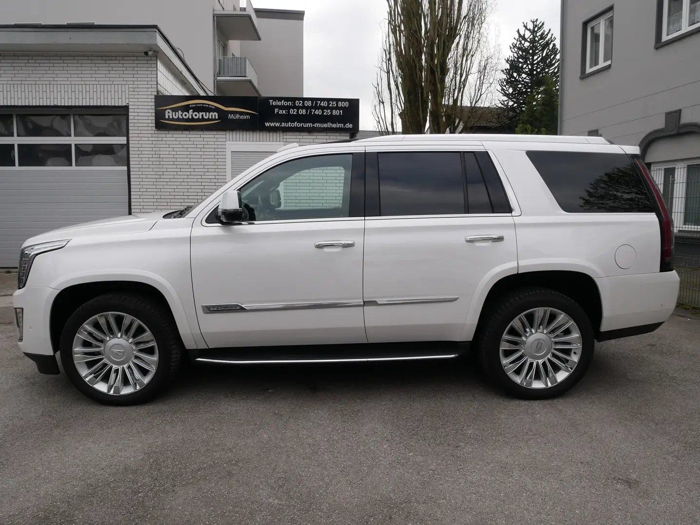 Cadillac Escalade 6.2 V8 Platinum 8Sitze LED 3xTV Bose HUD KeyGo360K Weiß - 2