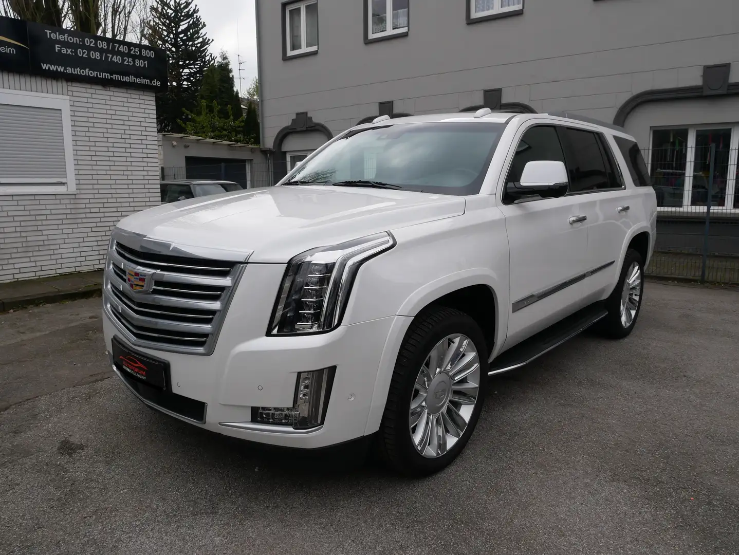 Cadillac Escalade 6.2 V8 Platinum 8Sitze LED 3xTV Bose HUD KeyGo360K Weiß - 1