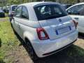 Fiat 500 1.0 FireFly Hybrid Club Weiß - thumbnail 3