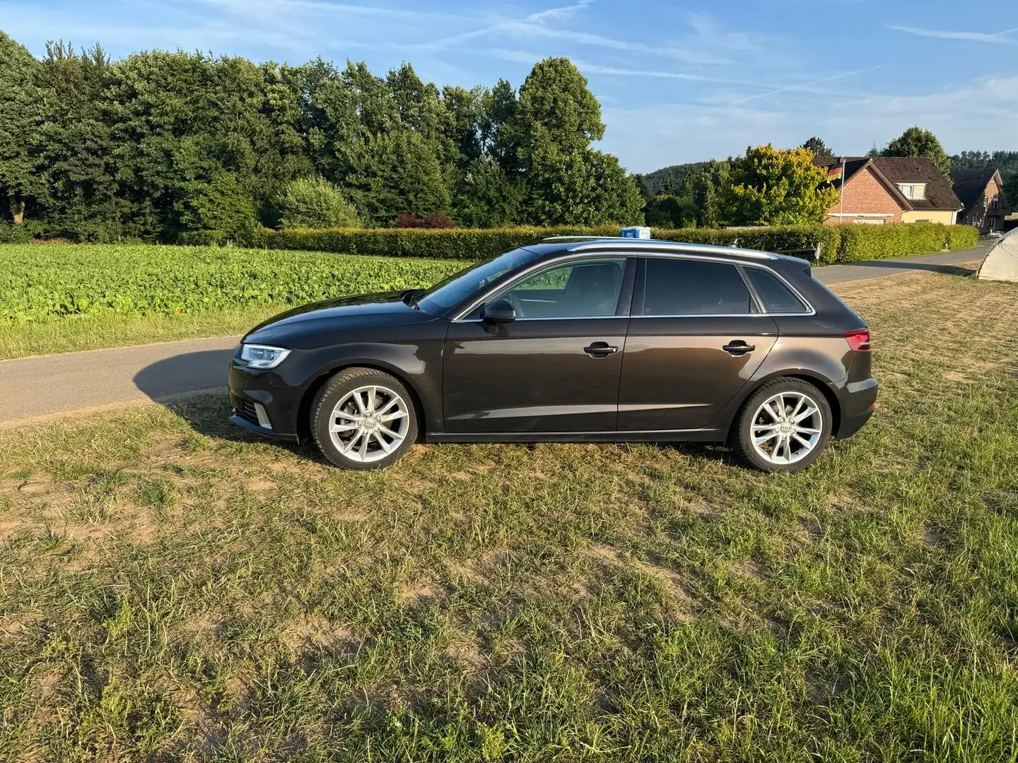 Audi A3 sport Braun - 1