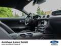 Ford Mustang GT Fastback 5.0 V8 MagneRide Premium 3 Rot - thumbnail 22