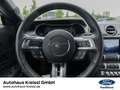 Ford Mustang GT Fastback 5.0 V8 MagneRide Premium 3 Rot - thumbnail 12