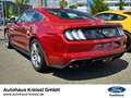 Ford Mustang GT Fastback 5.0 V8 MagneRide Premium 3 Rot - thumbnail 5