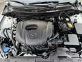 Mazda 2 Mazda2 Skyactiv G75 Homura Weiß - thumbnail 18